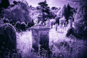 Arnos Vale Cemetery, Bristol